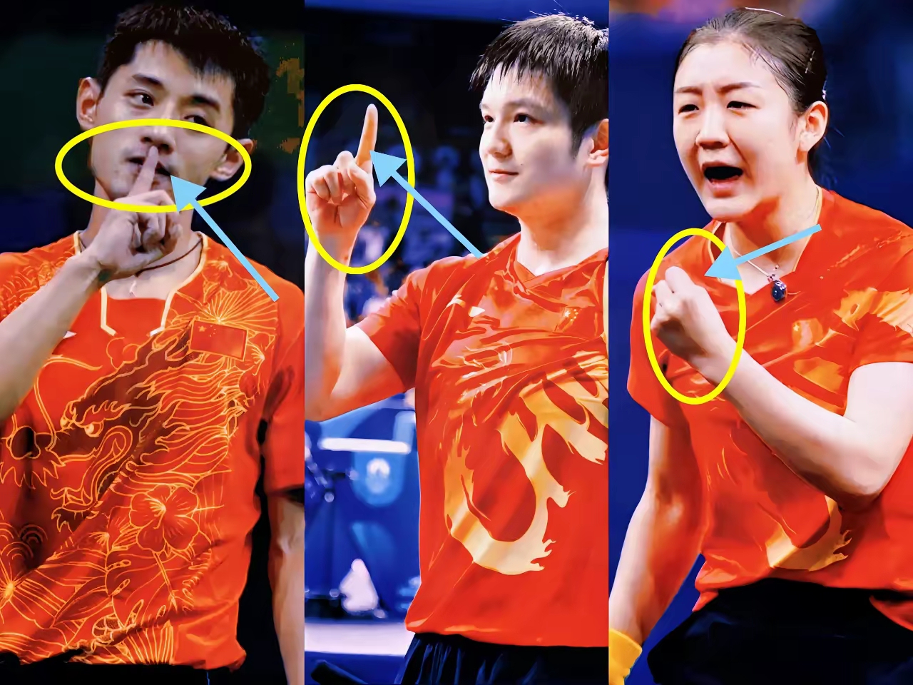 瑞典乒乓球队鏖战中国乒乓球队，张继科统治全场