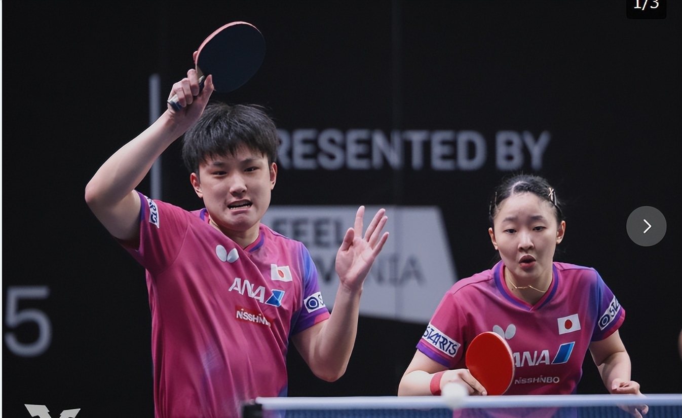 瑞典队横扫韩国队，张本智和高光表现