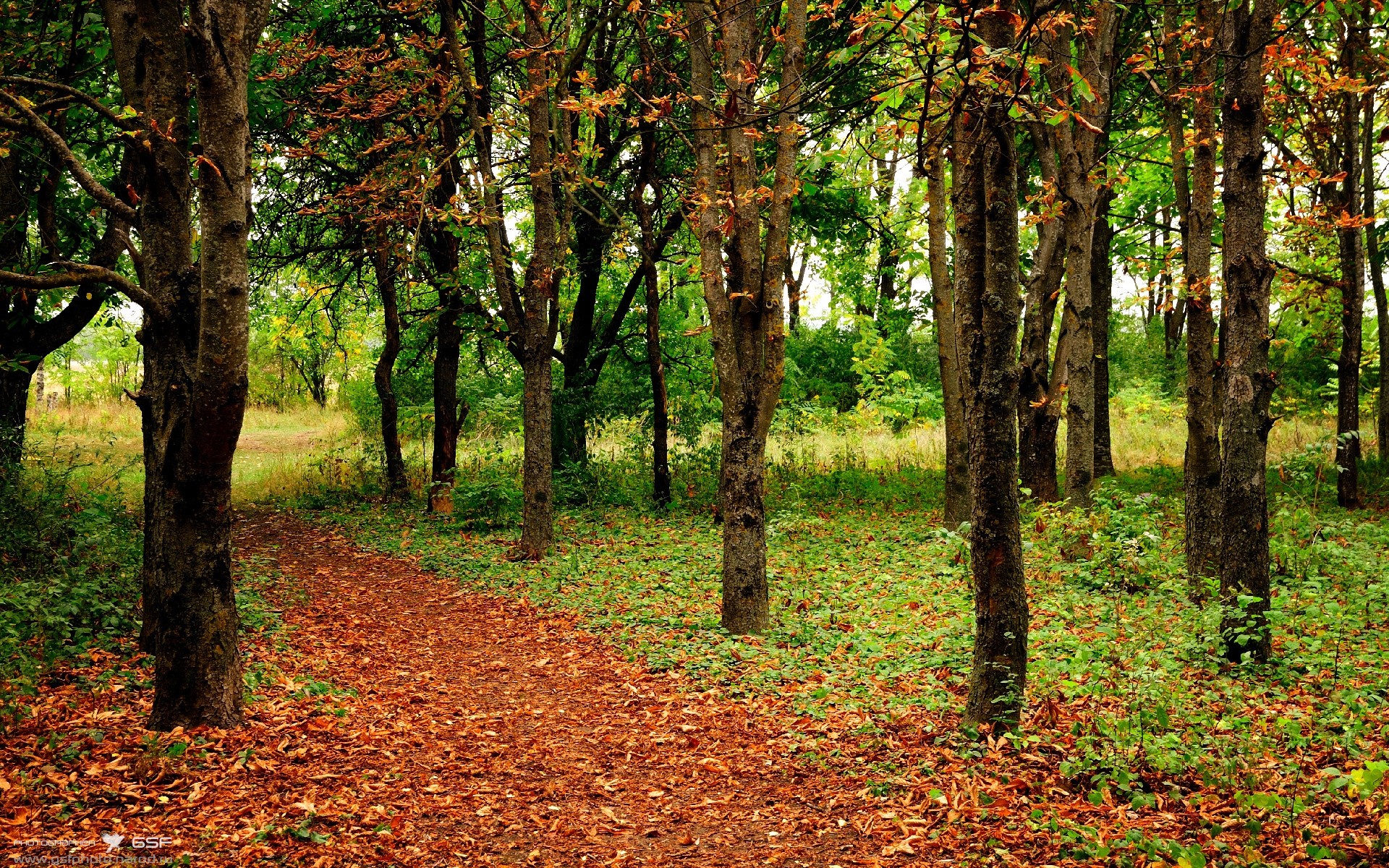 红土史诗，蒙特卡洛绝境逆转与戴维斯杯铁血征程，纳达尔双重战场刷新时代纪录