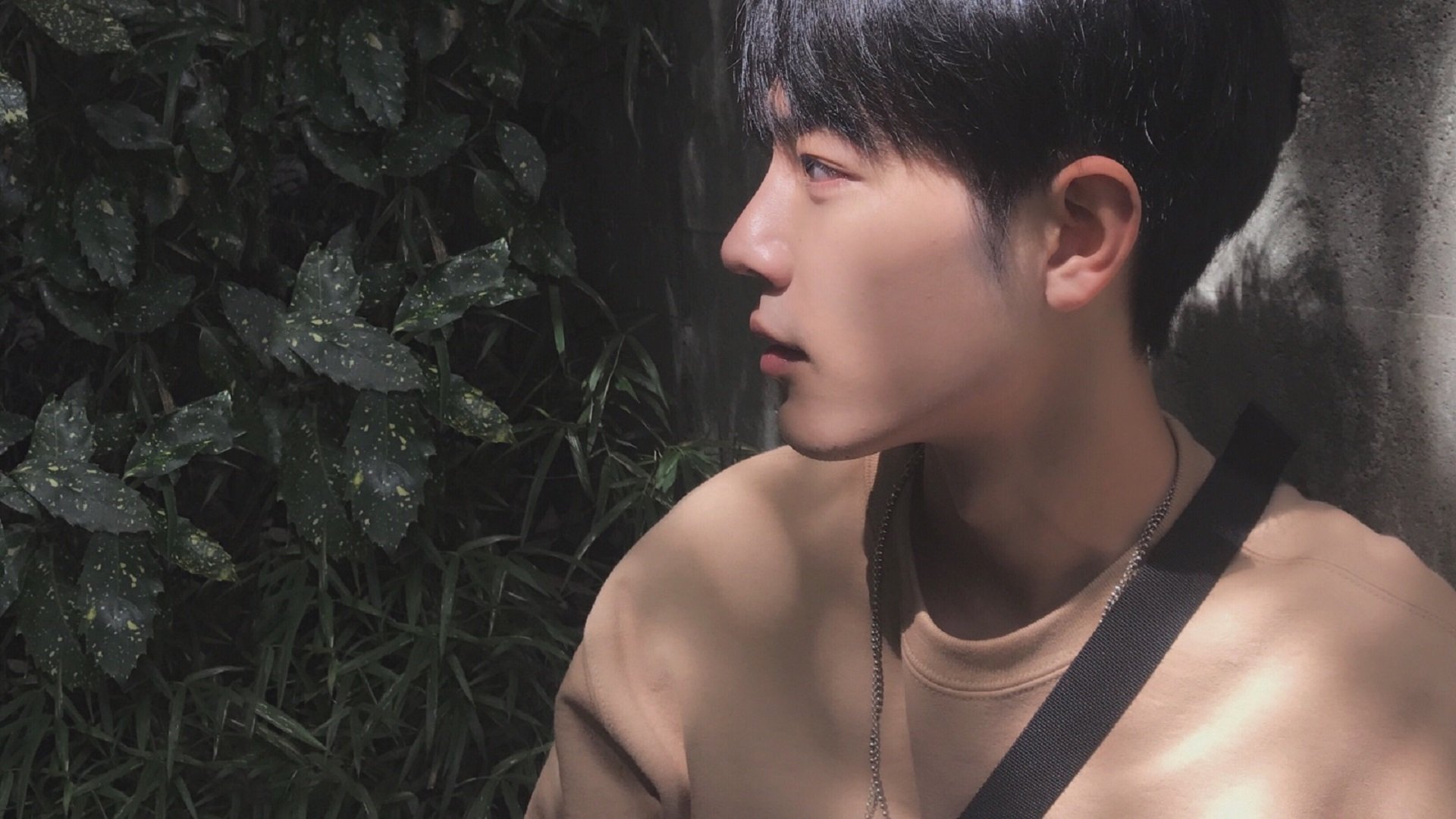 金色穹顶下的宣言,冠军的心不只于桂冠,更在于爬起时膝上的尘土