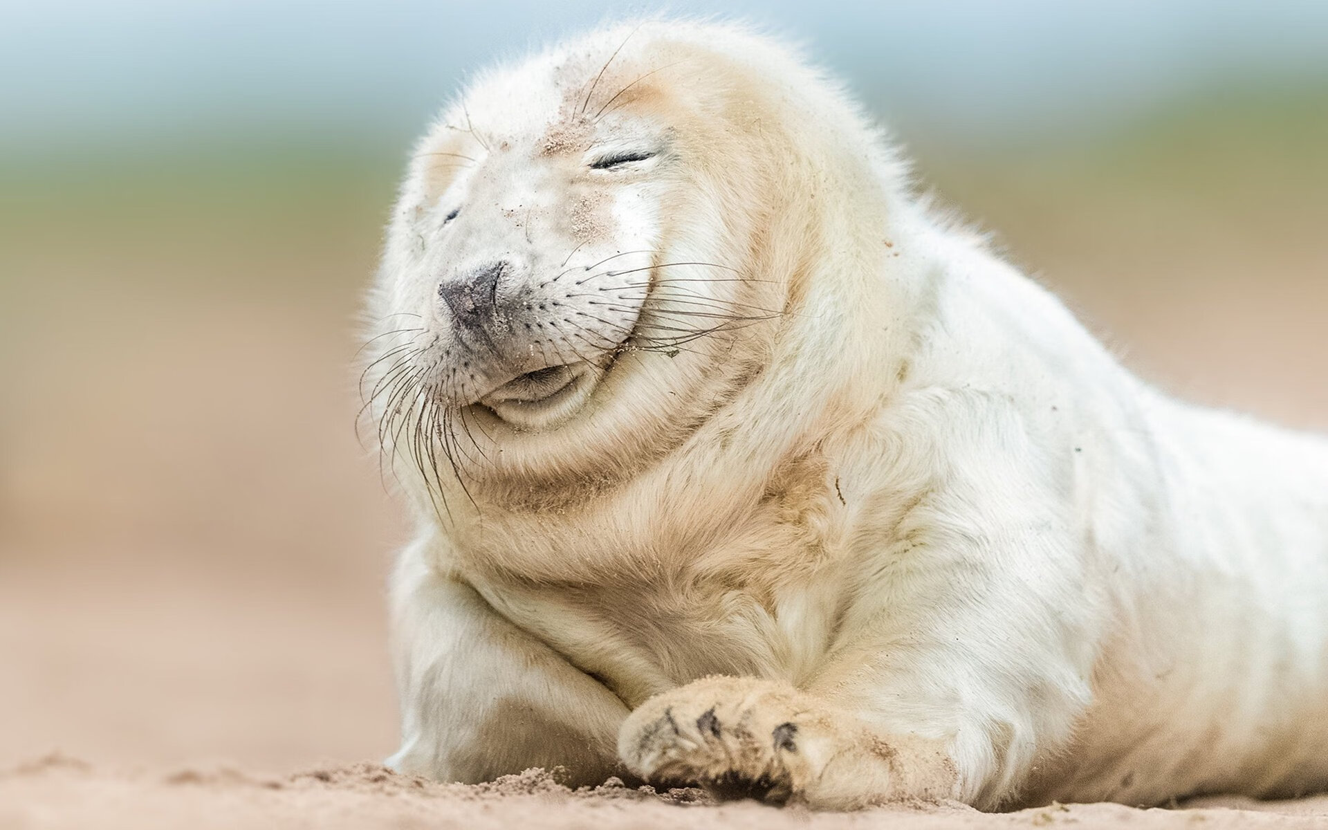 双城记，洛杉矶的防守艺术与柏林的绝境反击