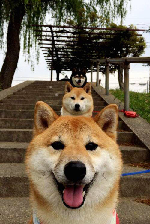 掌控节奏的智者，北京队如何以慢制快锁定胜局，马克西成关键先生