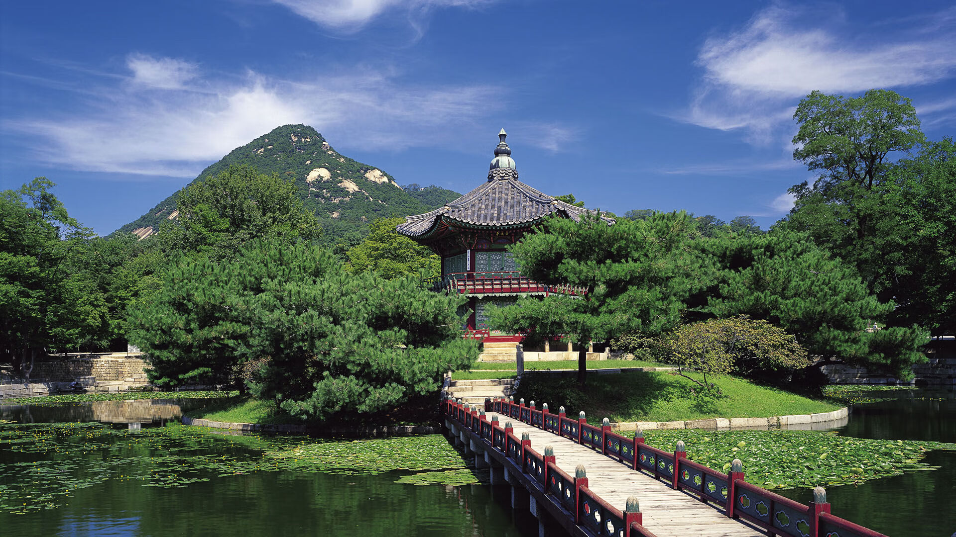 友谊赛的谜团，德里赫特的数据幽灵如何笼罩伊拉克与厄瓜多尔之战？