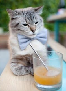 烈焰之舞，莱奥如何用三记惊雷，将季后赛之夜烧成永恒灰烬