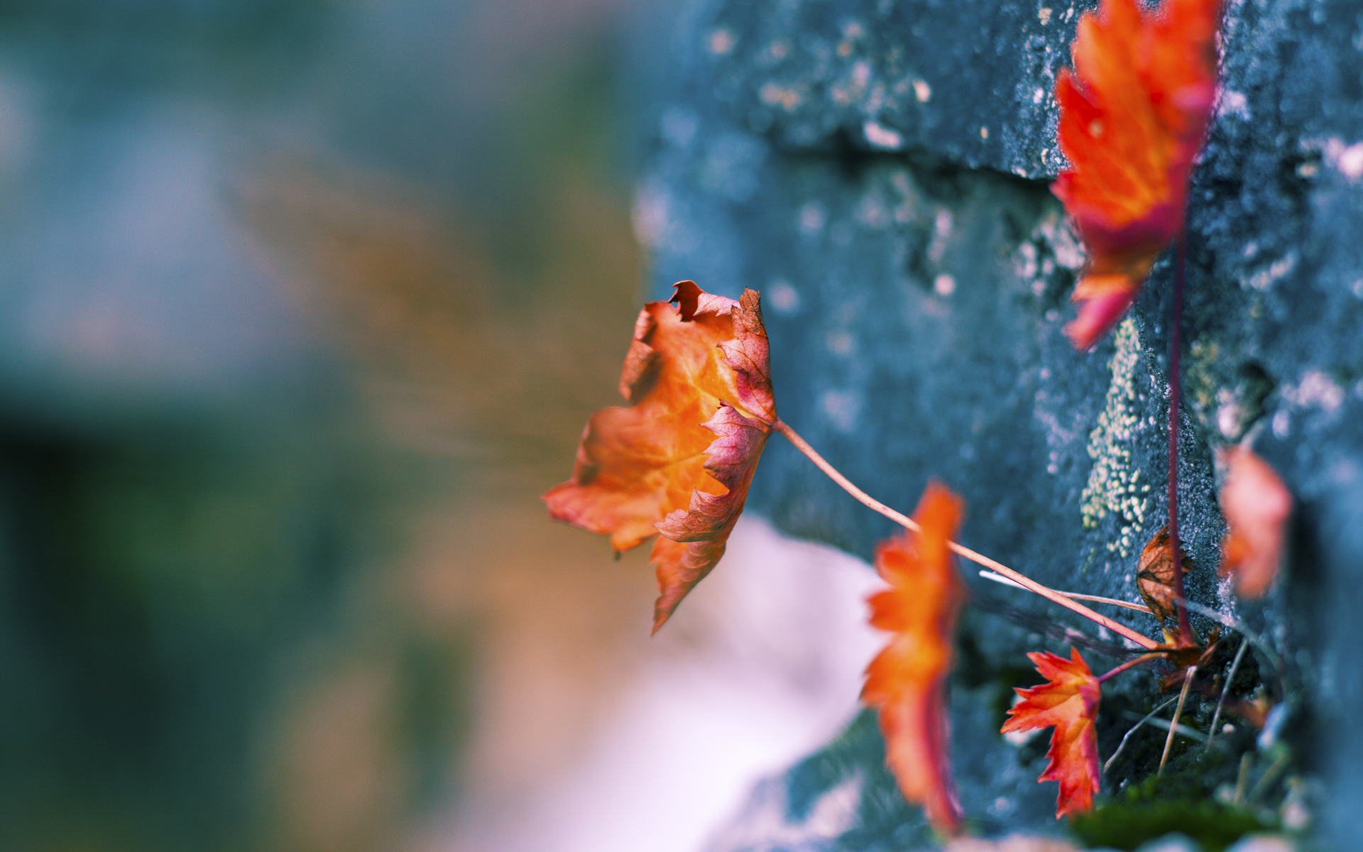格纳布里的传奇之夜,NBA季后赛的关键先生