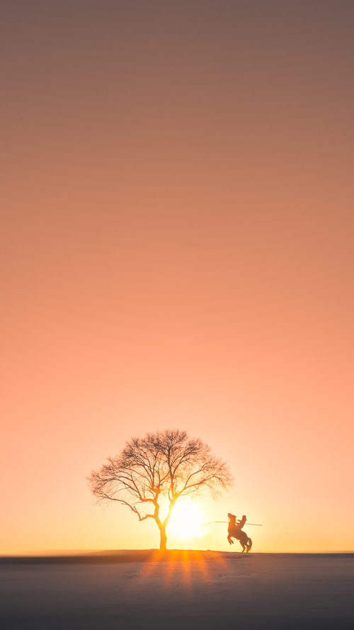 弗拉霍维奇独挽狂澜！沙特与哥斯达黎加鏖战中见证新一代巨星崛起