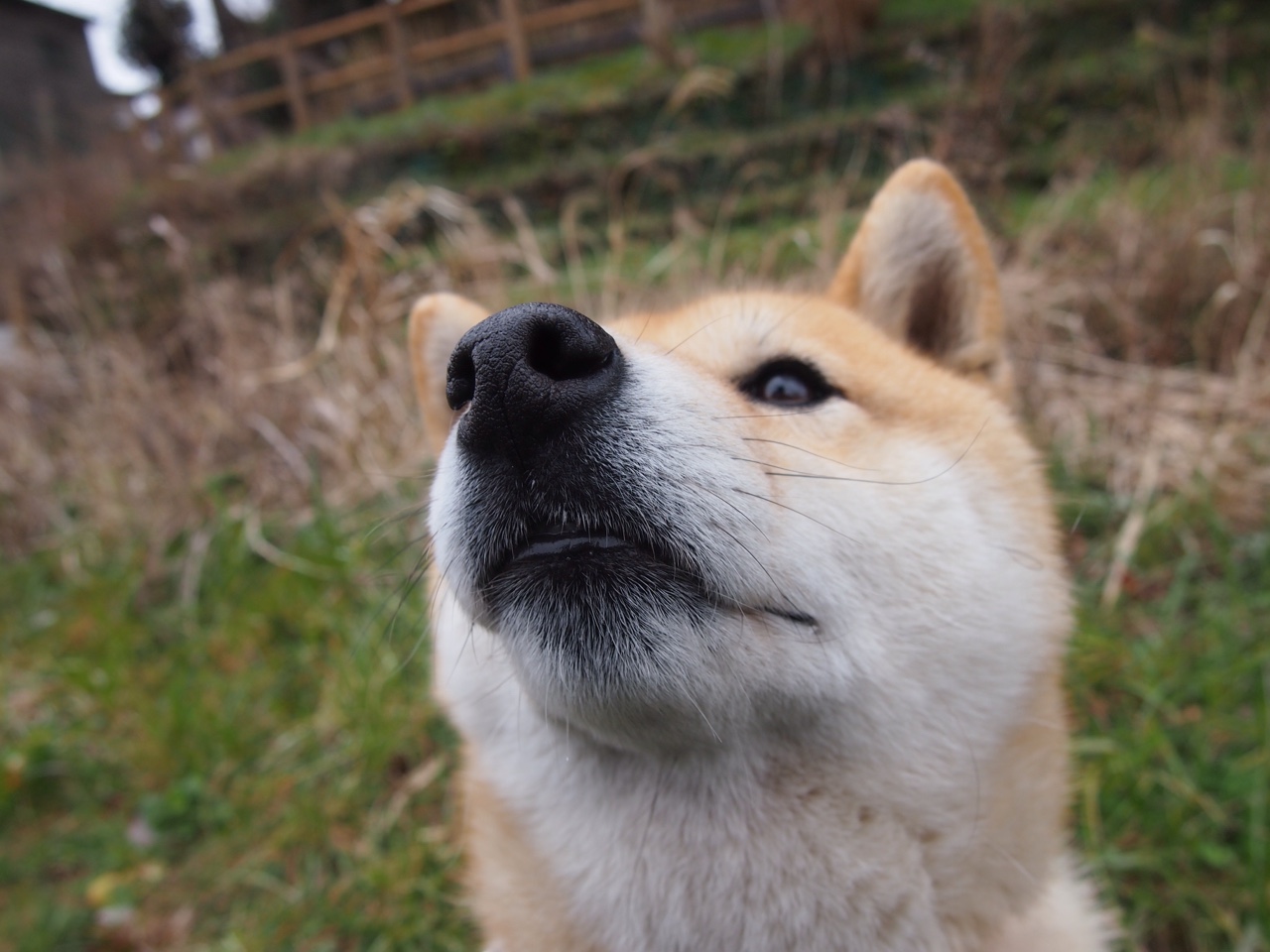 白衣不落，38岁的莫德里奇如何让时光在伯纳乌静止