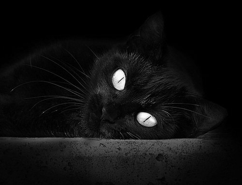 世界篮球排名巅峰对决，吉林队鏖战雄鹿，夺关键胜利登顶争冠路