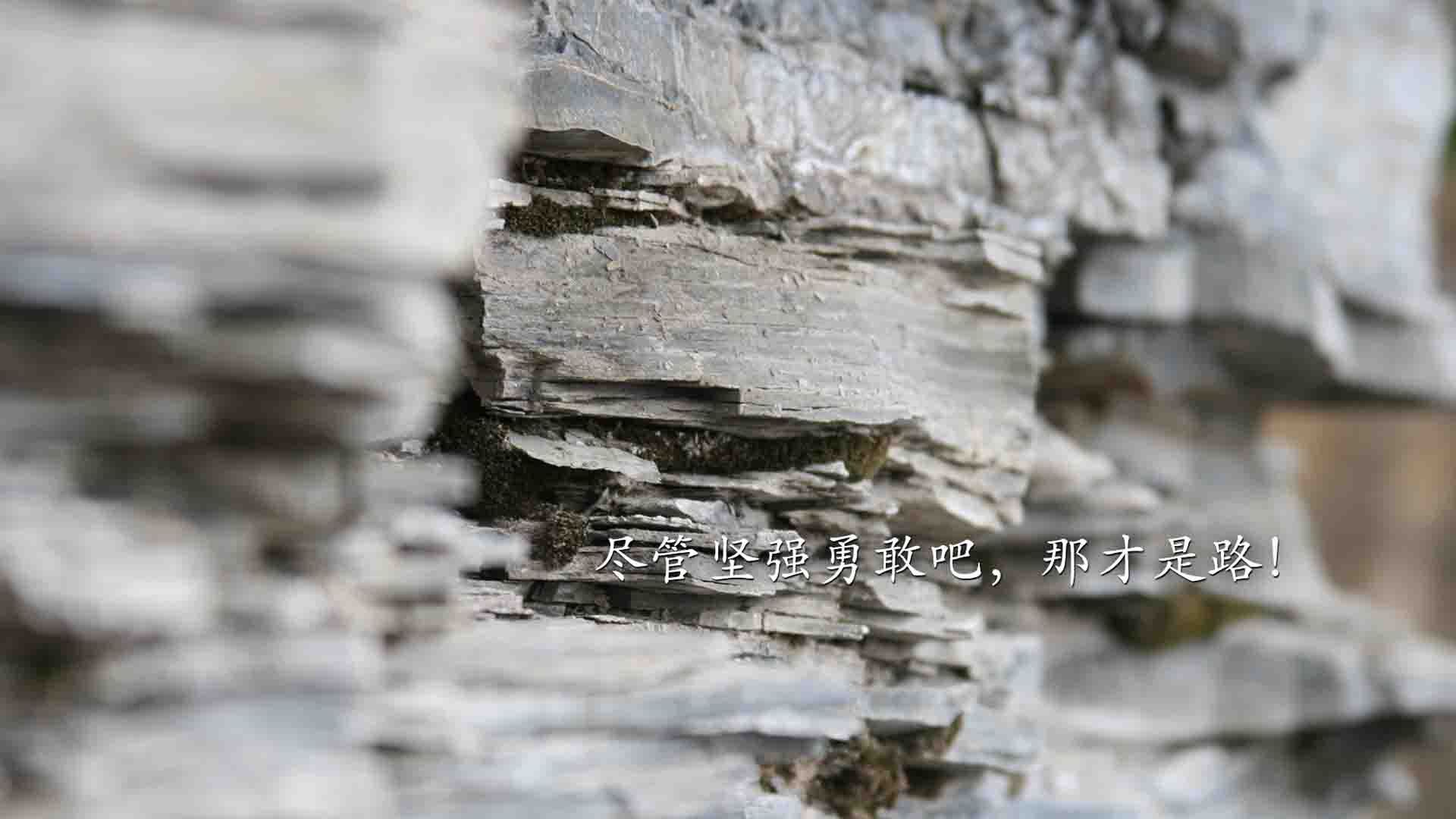 绿茵场上的另类叫牌，当意甲焦点战遭遇安哥拉决胜局