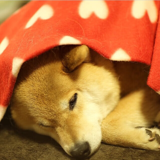 天堑与飞翼，莫兰特撕裂防线，老鹰振翅击沉快船