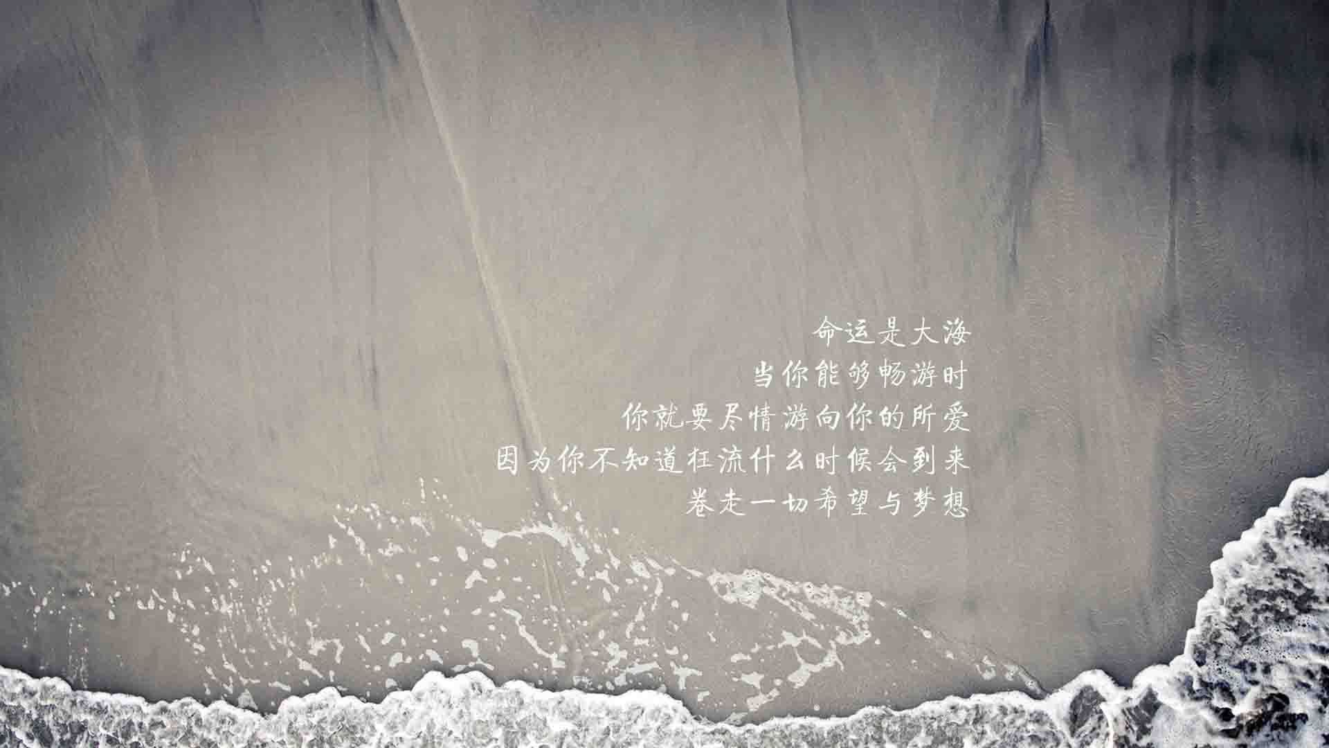 命运的交织,2026世界杯D组,当橙衣军团遇上罗马尼亚,苏亚雷斯用最后一次起舞改写历史