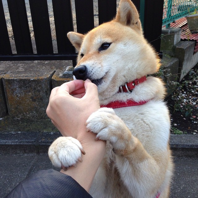 2026世界杯B组生死夜，波斯铁骑绝杀厄瓜多尔，C罗引领攻守狂潮