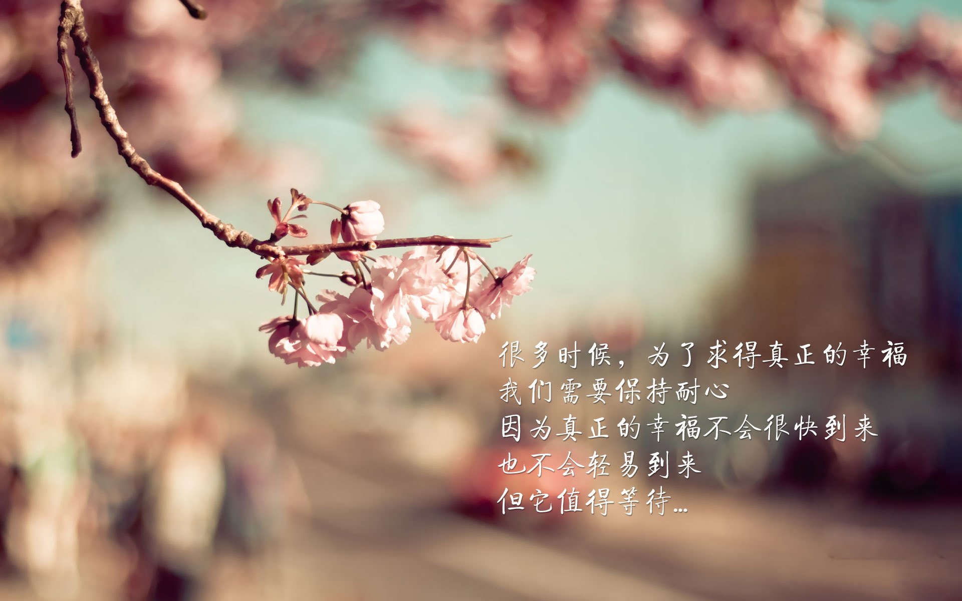 蓝黑军魂的加勒比海之歌,布罗佐维奇引领克罗地亚风暴,加纳大胜泰国书写E组唯一剧本