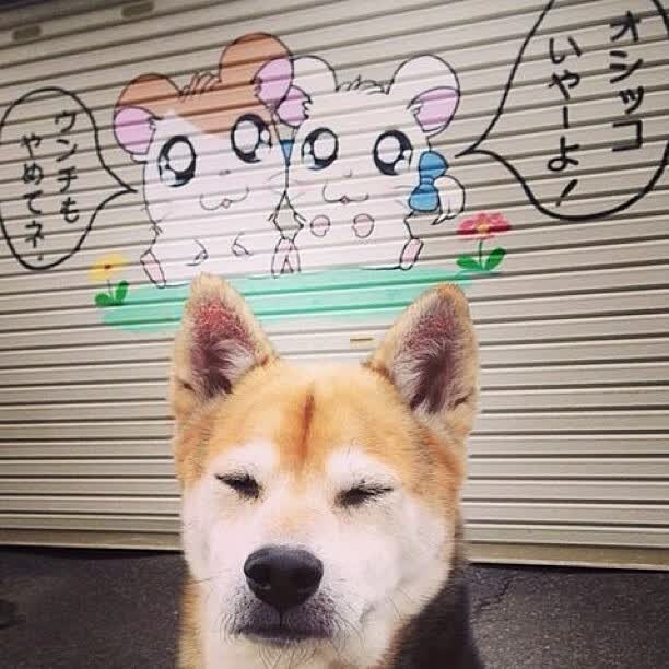 (候选)